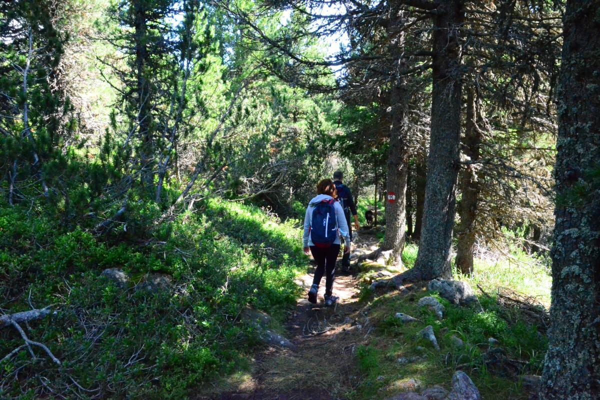 Latschenoelbrennerei und Platzer Alm 09.08.2021